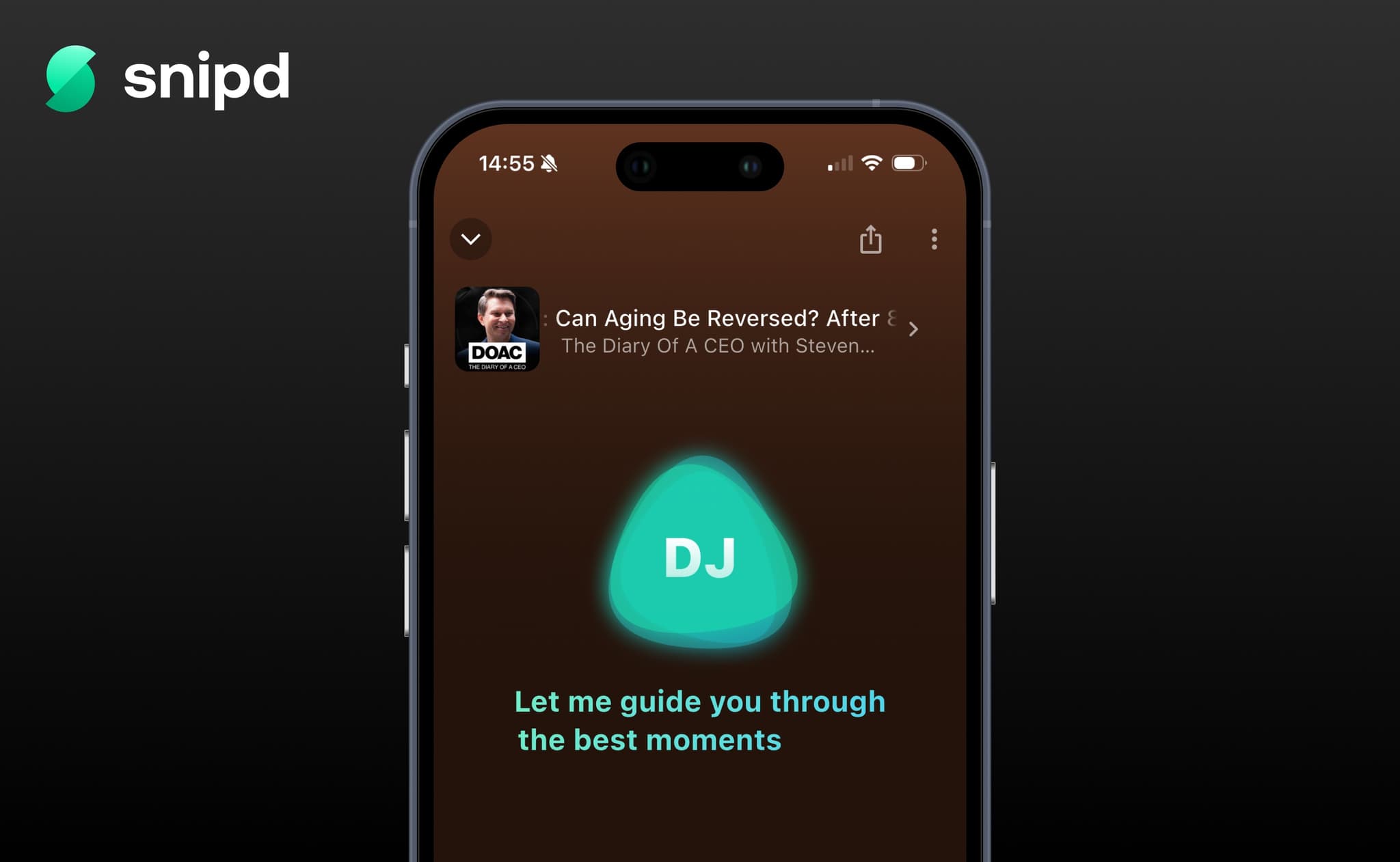 Snipd AI DJ